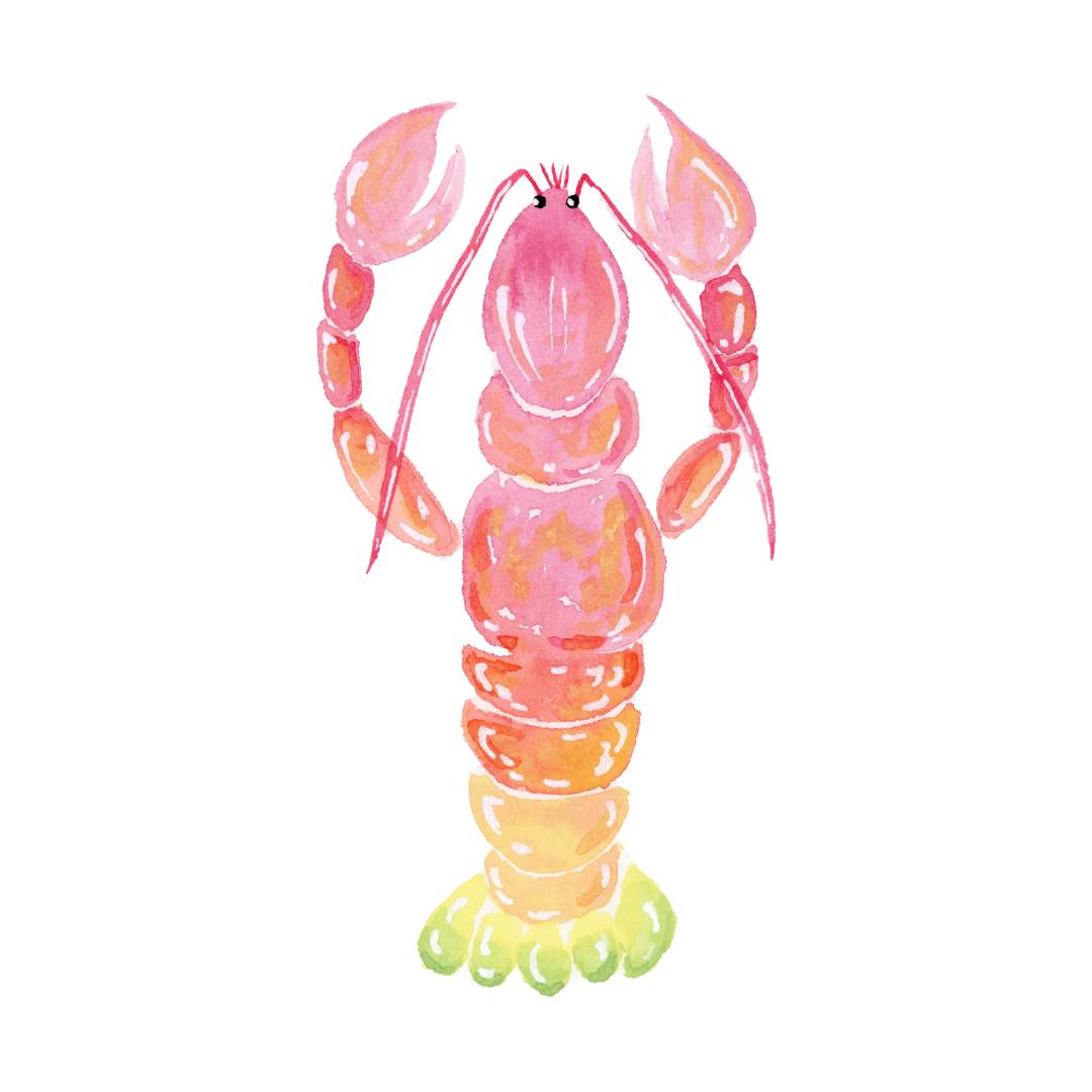 Rainbow Lobster Card - Blank